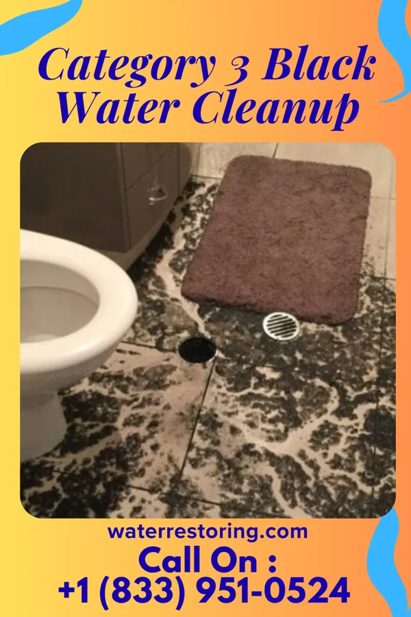 Category 3 Black Water Cleanup in Shamokin Dam, PA