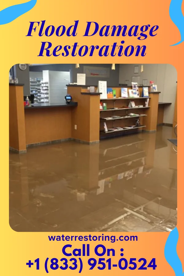 Flood Damage Restoration in Shamokin Dam, PA