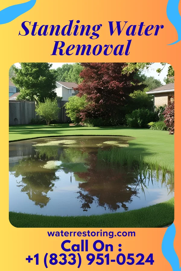 Standing Water Removal in Shamokin Dam, PA